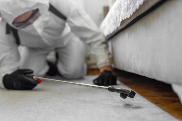 Professional Pest Control technician working in Toombs County County, GA